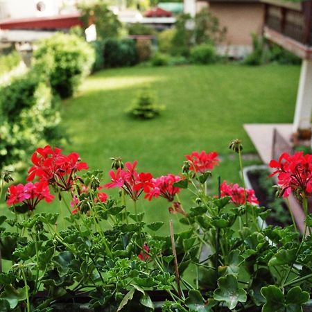 Ferienwohnungen Im Herzen Des Pfaelzerwaldes Elmstein Екстериор снимка