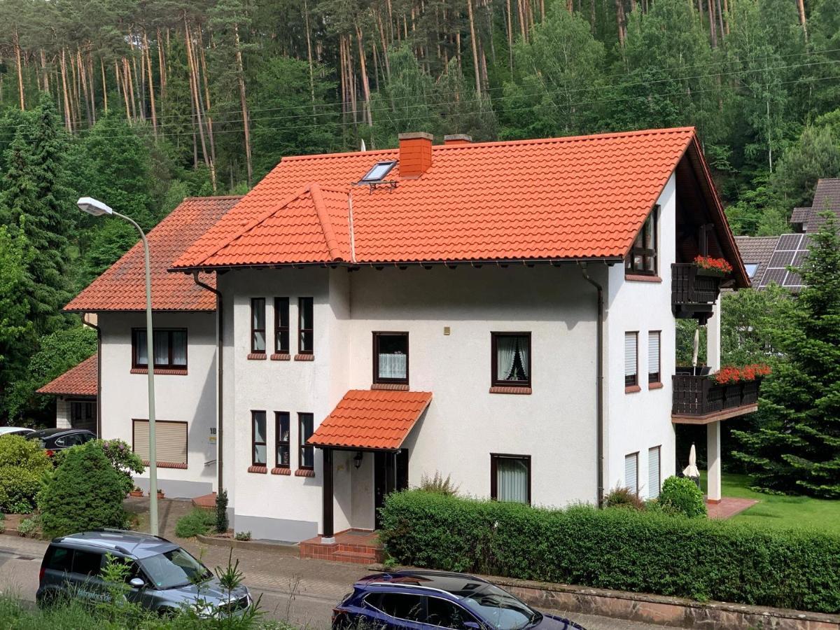 Ferienwohnungen Im Herzen Des Pfaelzerwaldes Elmstein Екстериор снимка