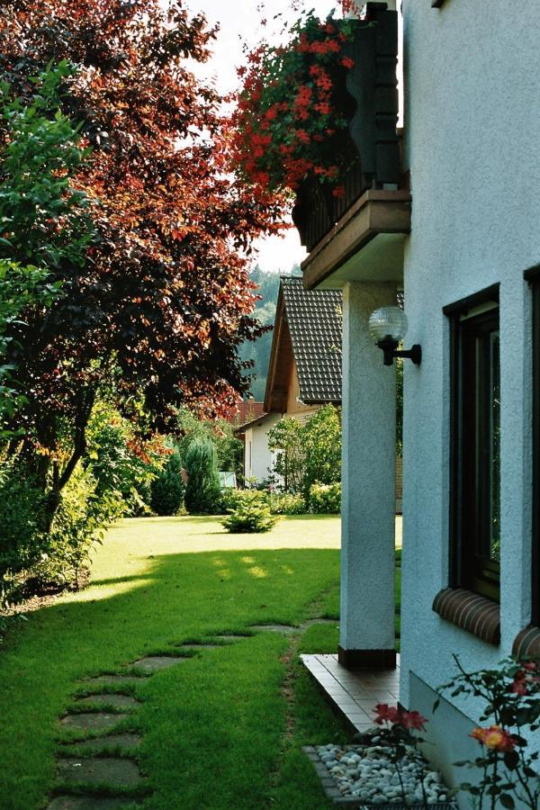 Ferienwohnungen Im Herzen Des Pfaelzerwaldes Elmstein Екстериор снимка
