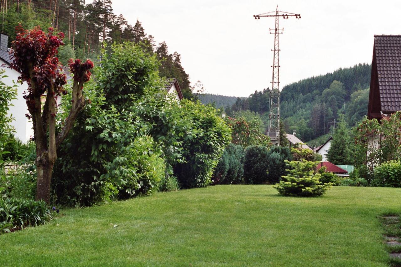 Ferienwohnungen Im Herzen Des Pfaelzerwaldes Elmstein Екстериор снимка