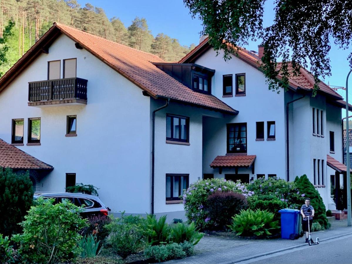 Ferienwohnungen Im Herzen Des Pfaelzerwaldes Elmstein Екстериор снимка